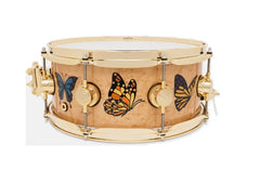DW Sheila E. ICON 5.5" x 13" Snare Drum